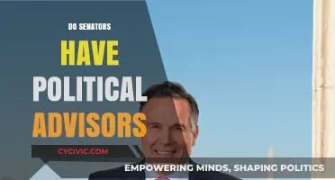 Do Senators Have Political Advisors? Exploring Their Role in Policy Decisions