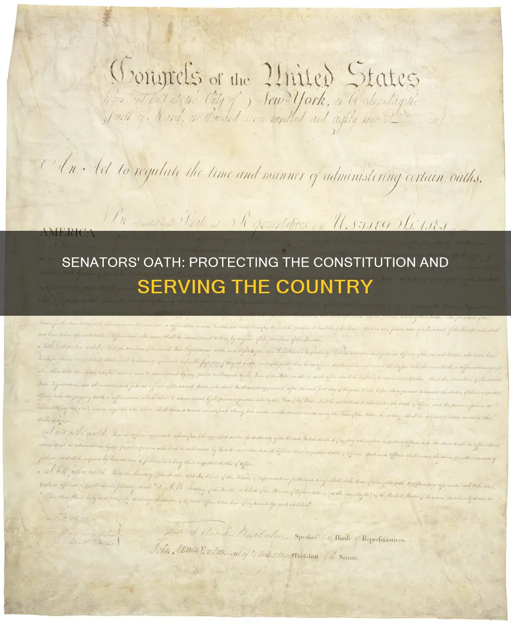 do senators take an oath to protect the constitution