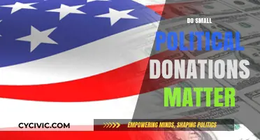 Small Political Donations: Impactful or Just Symbolic Contributions?