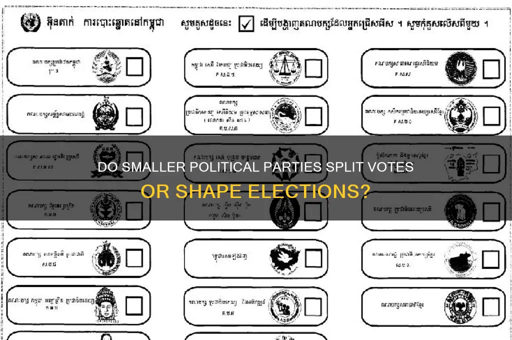 do smaller political parties just help specify the vote
