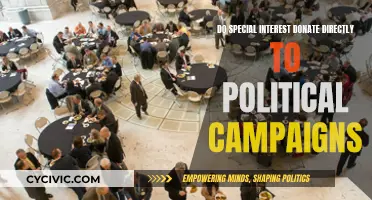 Special Interests and Political Campaigns: Money Talks