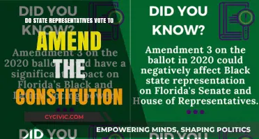 Amending the Constitution: State Representatives' Voting Power