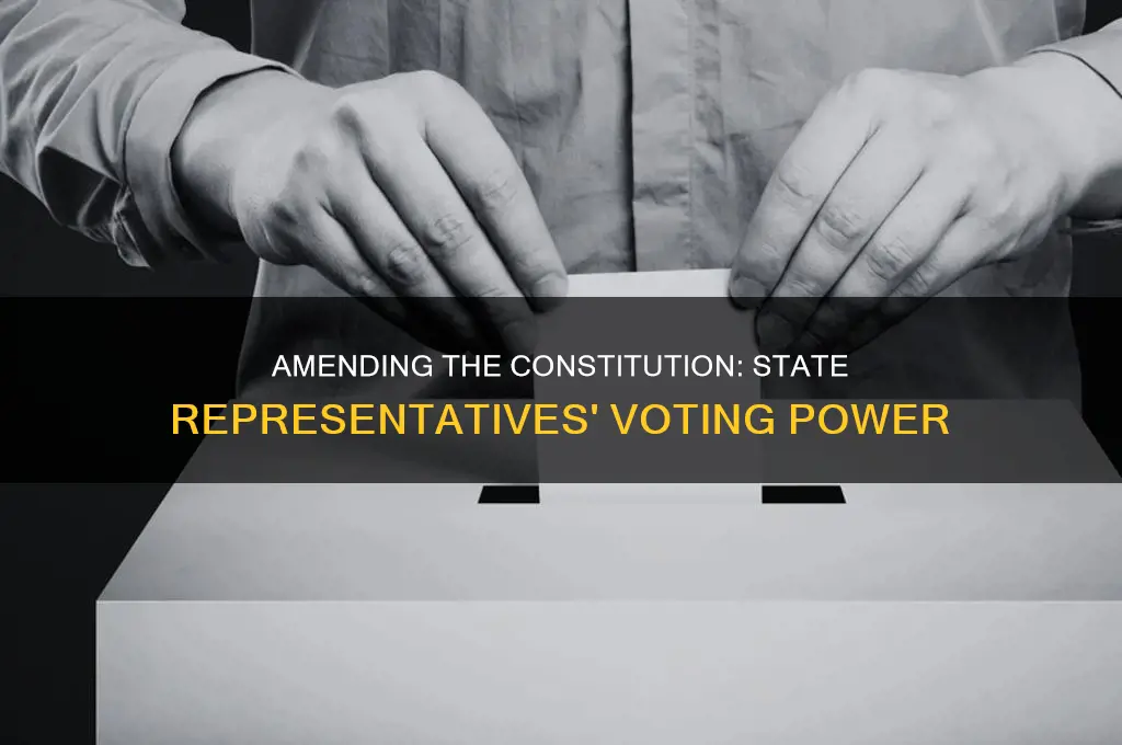 do state representatives vote to amend the constitution