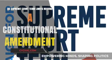 Term Limits for Supreme Court: Amendment Needed?