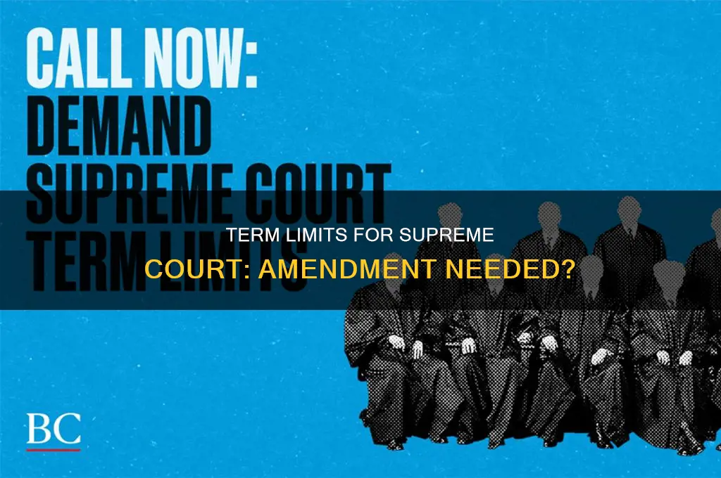 do supreme court term limits require a constitutional amendment