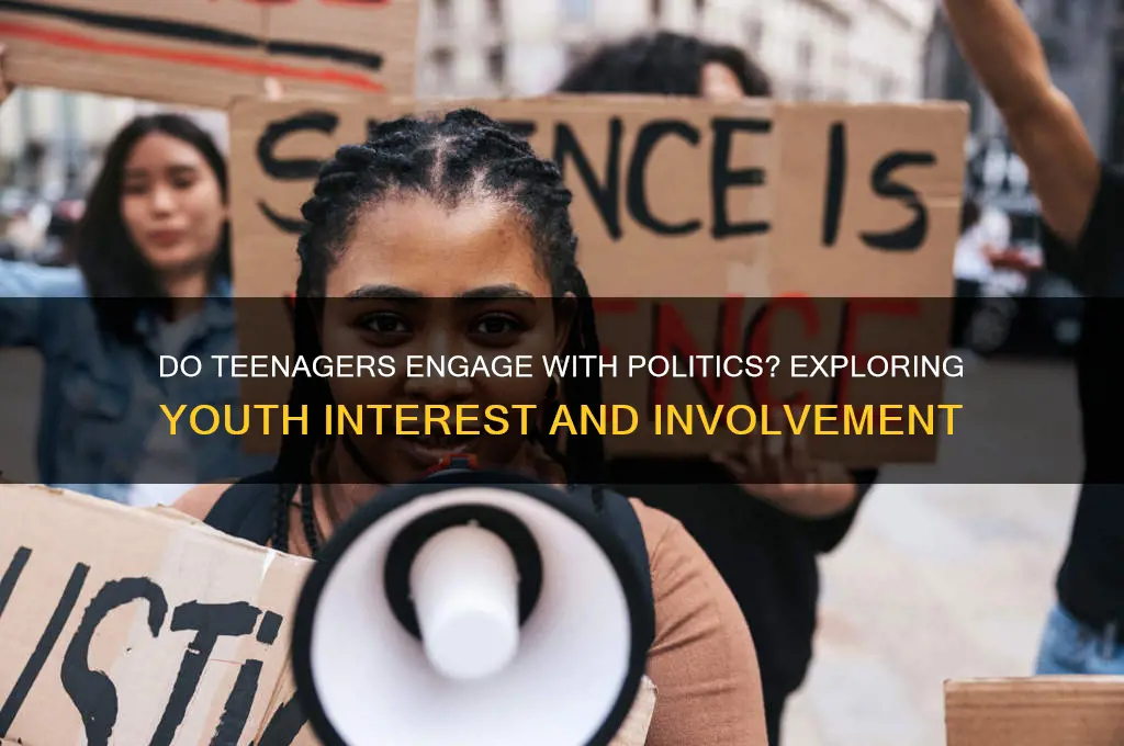 do teenagers like politics