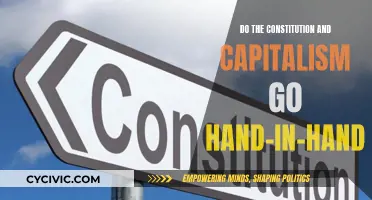 Capitalism and the Constitution: Friends or Foes?