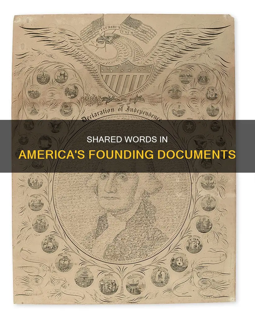 do the constitution and declation of independence share any words