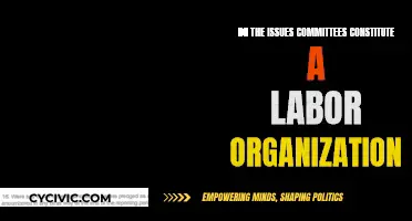 Are Issues Committees a Labor Organization?