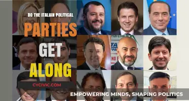 Italian Political Parties: Cooperation, Conflict, or Chaotic Coexistence?