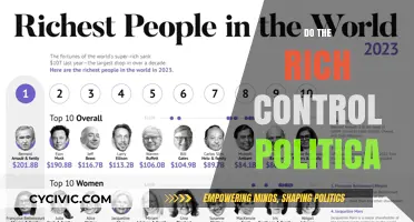 Do the Wealthy Dominate Politics? Exploring Power and Influence Dynamics