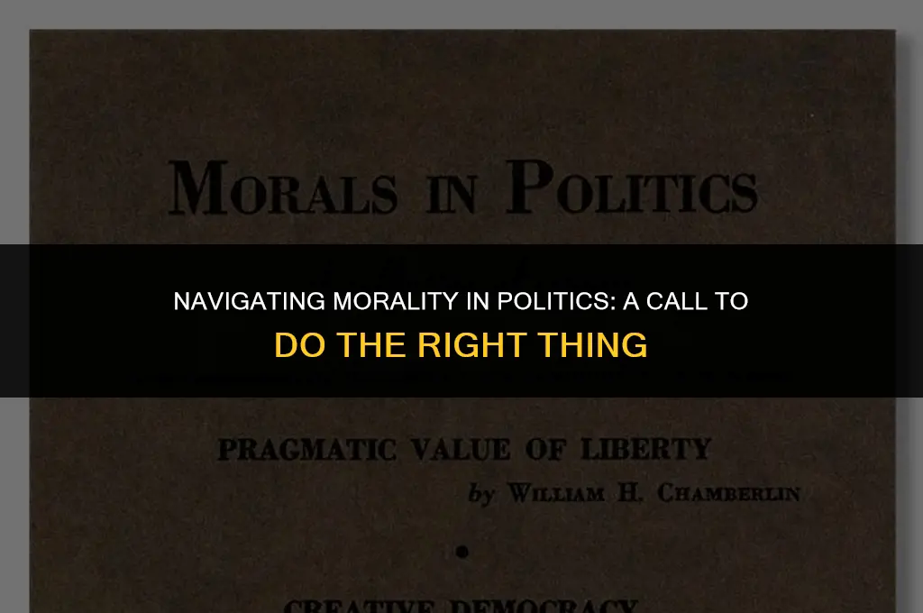 do the right thing political analysis