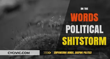 Navigating the Turbulent Waters of a Political Shitstorm: Strategies and Insights