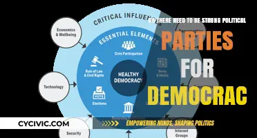 Strong Political Parties: Essential for Democracy or Hindrance to Progress?