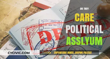 Do They Truly Care? Examining Political Asylum Policies and Global Responsibility