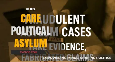 Do They Care? Exploring the Reality of Political Asylum Today