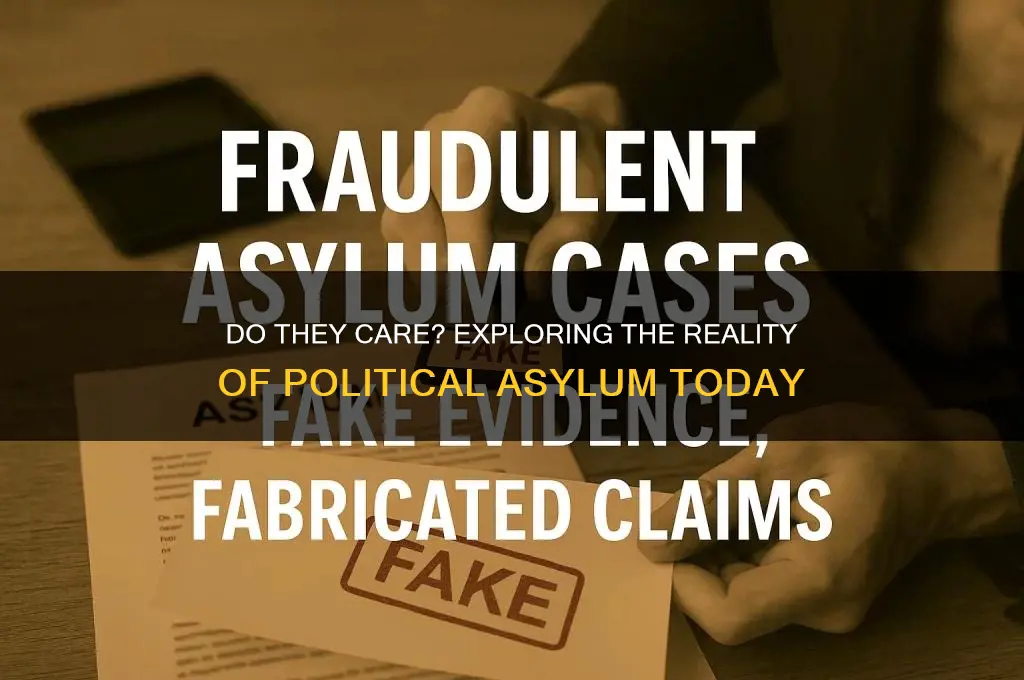 do they care political asylum