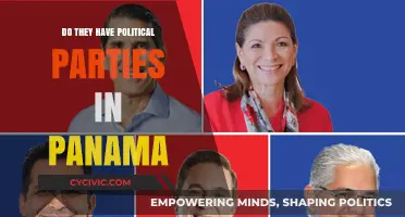 Panama's Political Landscape: Exploring the Role of Parties in Governance