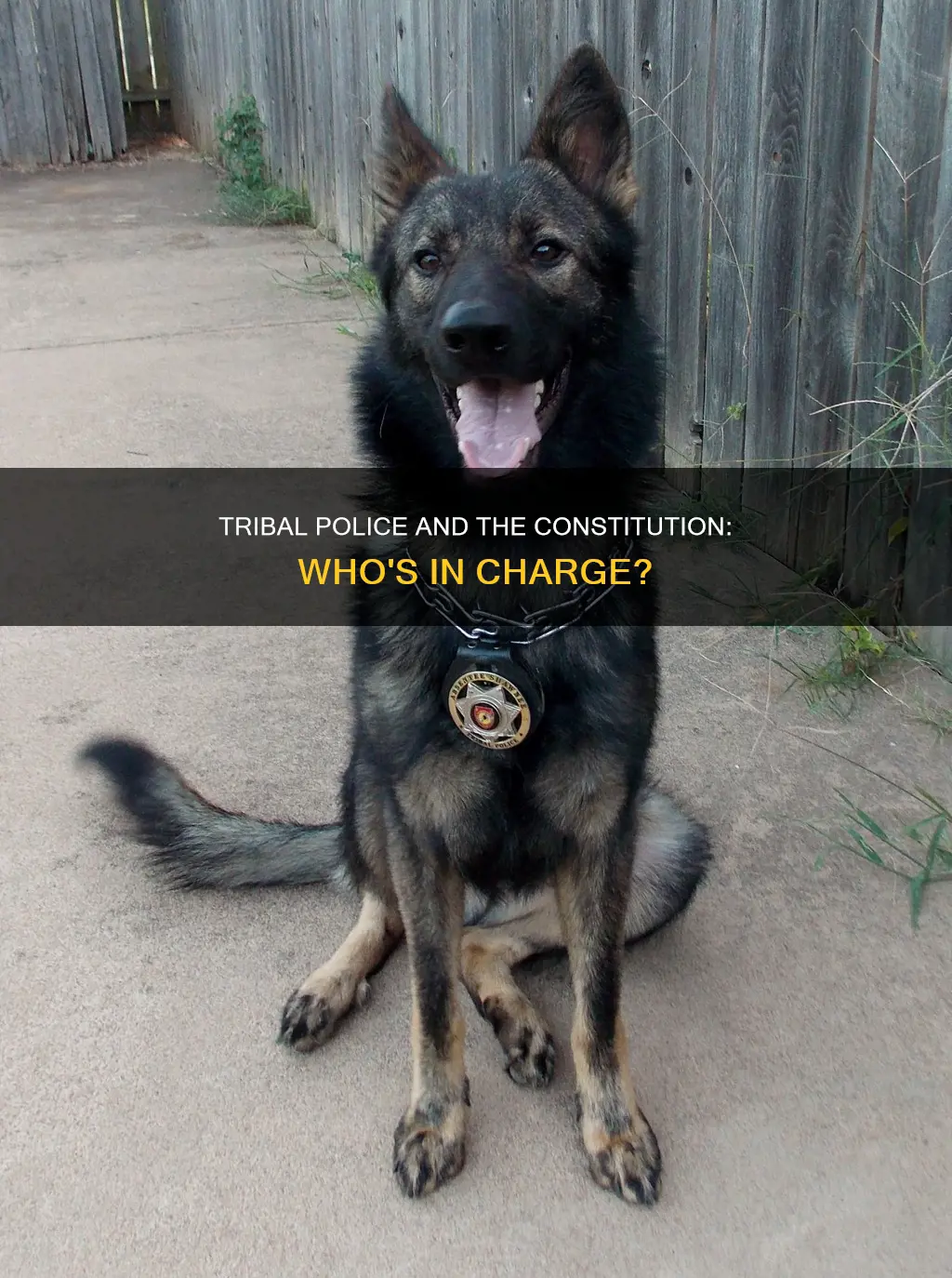 do tribal police have to follow the constitution