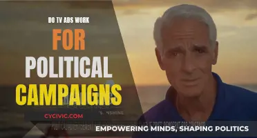 TV Ads: Political Campaign Game-Changer?