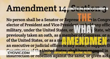 Citizenship and the Constitution: Defining the Nation