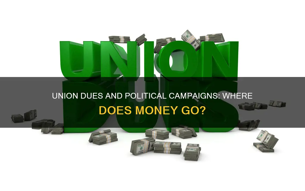 do union dues go to political campaigns