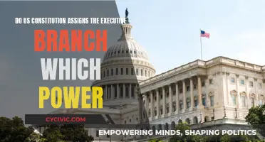 Executive Powers: Exploring the US Constitution's Branch Assignment