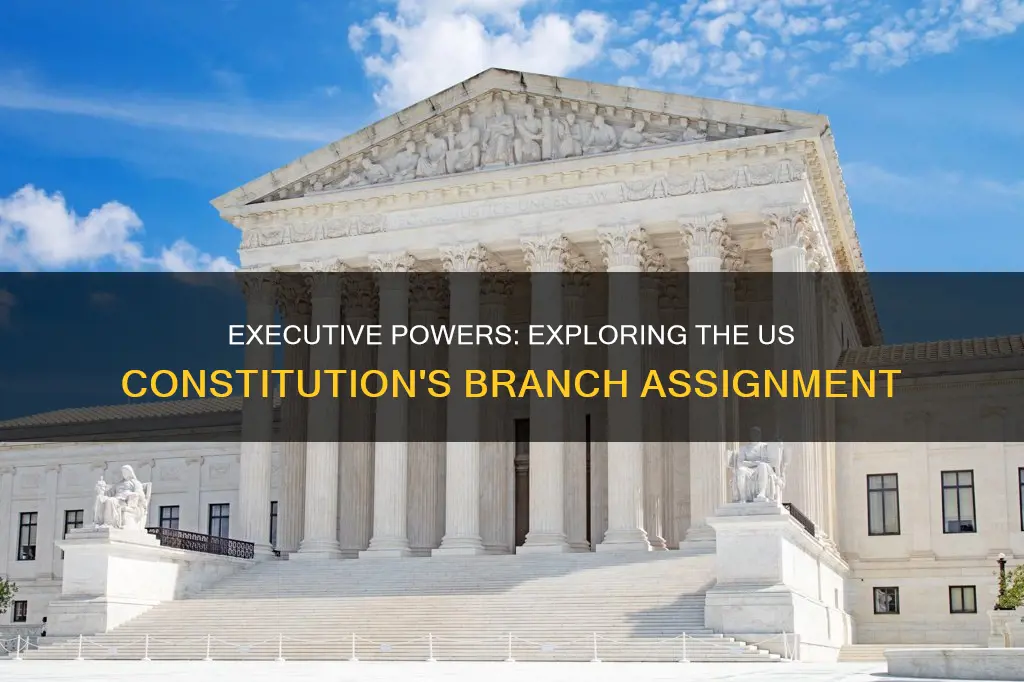 do us constitution assigns the executive branch which power