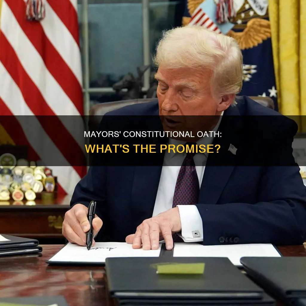 do us mayors promise to uphold the constitution