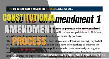 Voters' Role in Constitutional Amendments: Power or Pageantry?