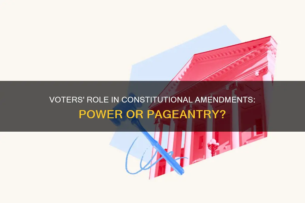 do voters have a role in the constitutional amendment process