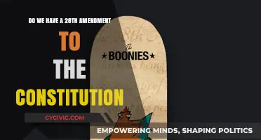 The Constitution and the Elusive 28th Amendment