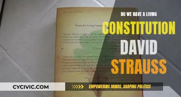The Living Constitution: David Strauss' Perspective