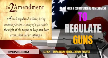 Gun Control: Constitutional Amendment Needed?