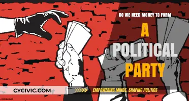 Can Political Parties Be Formed Without Money? Exploring the Financial Reality
