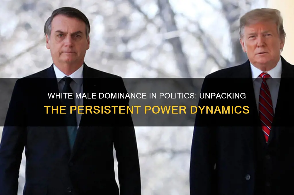 do white men dominate politics