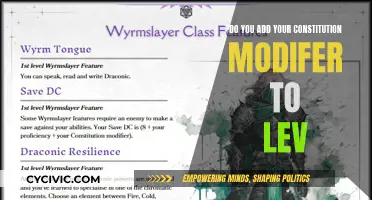 How Your Constitution Modifier Impacts Lev