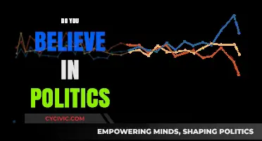 Do You Believe in Politics? Exploring Trust, Ideals, and Reality