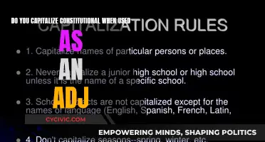 When to Capitalize 'Constitutional' as an Adjective: A Guide