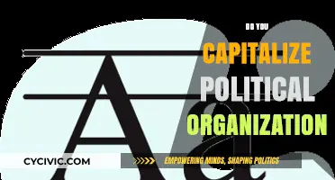 Capitalizing Political Organizations: Rules, Exceptions, and Common Mistakes Explained