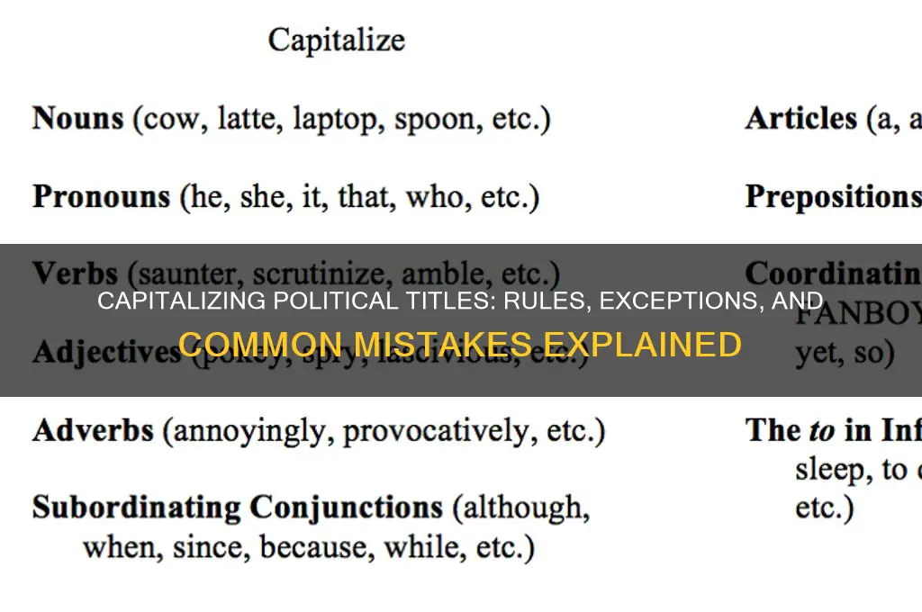 do you capitalize political titles