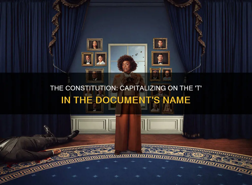 do you capitalize the t in the constitution