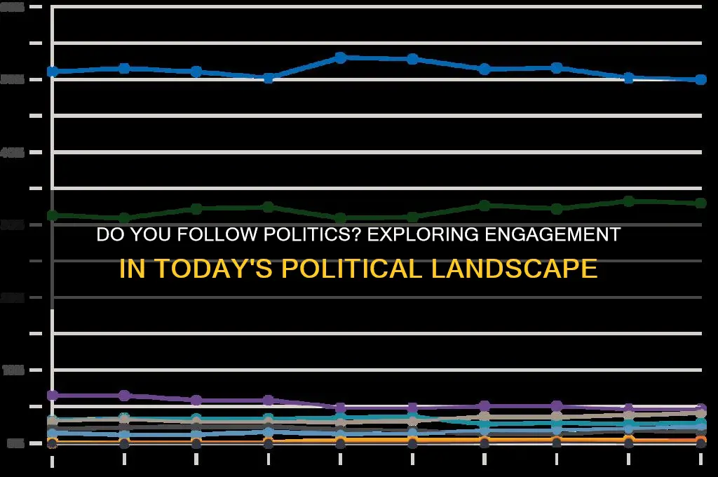 do you follow politics