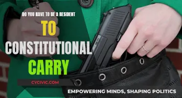 What's the Deal With Constitutional Carry?