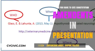 Citing the Constitution: Amendments in Presentations