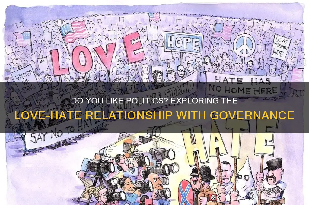 do you like politics