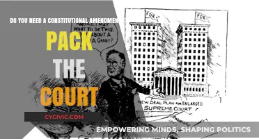 Court Packing: Constitutional Amendment Needed?
