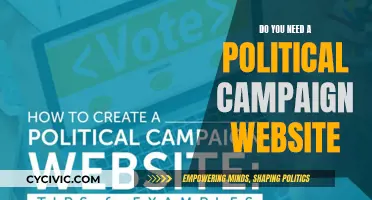 Political Campaign Websites: Essential or Expensive?