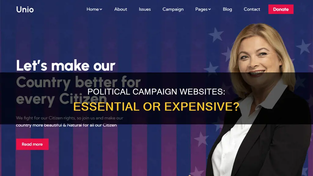 do you need a political campaign website