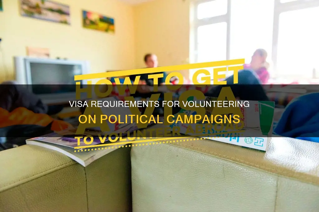 do you need a visa to volunteer on political campaign